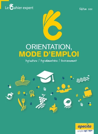 Le guide de l’emploi et des formations