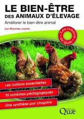 Les leviers d’amélioration