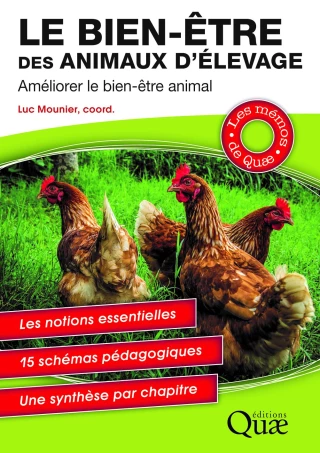 Les leviers d’amélioration