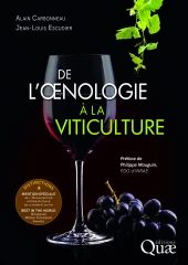 La liane qui crée du lien