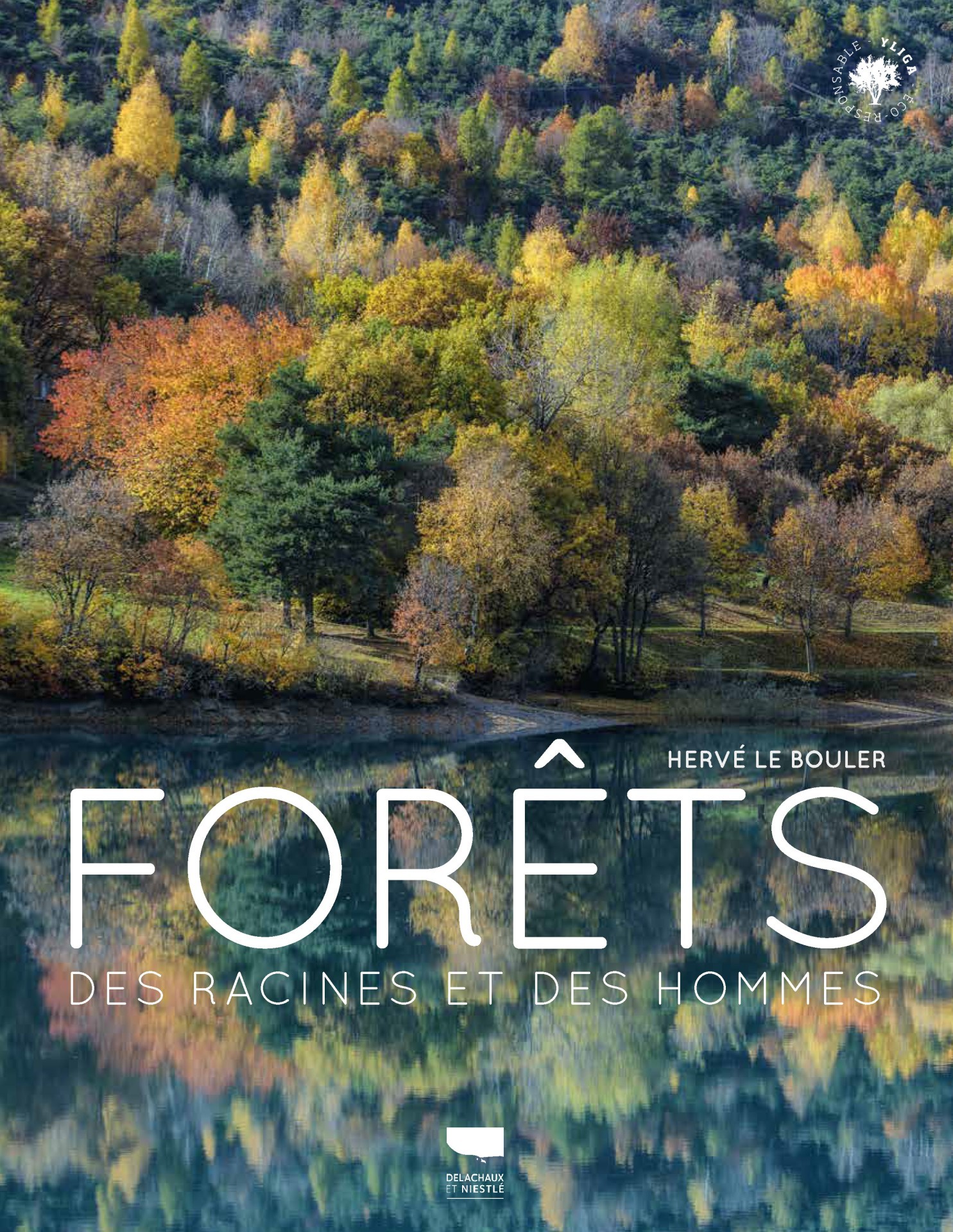 Forêt y es-tu ?