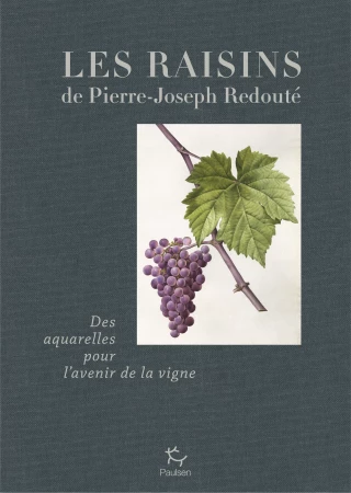 Les raisins retrouvés
