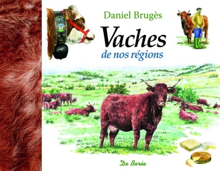 A la découverte des vaches de nos régions