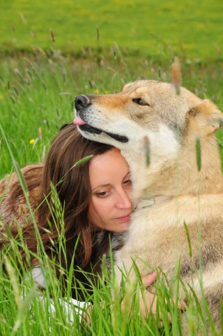 A la rencontre des rapaces et des loups dans le Morvan