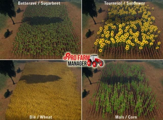 Un jeu plus vrai que nature