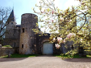 À la découverte des vins et châteaux