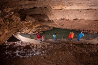 A la découverte du monde d’en bas