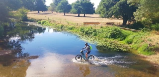 Profiter de la Bourgui Trott'