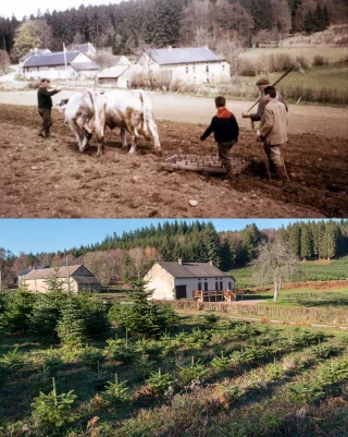 En attendant l’expo « Portrait de territoire… »