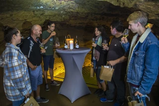 Plongez dans une dégustation œnogéologique