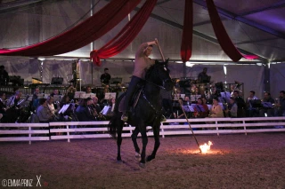 Chevaux et musiciens au diapason
