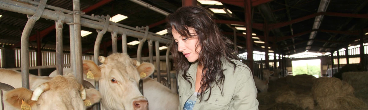 50 % des agriculteurs ont gagné moins de 350 €/mois en 2016.
