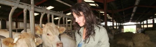 50 % des agriculteurs ont gagné moins de 350 €/mois en 2016.