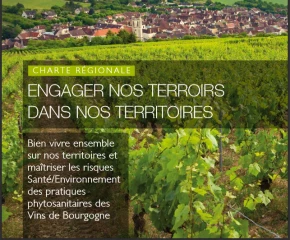 La viticulture à l'aube du sans phyto 