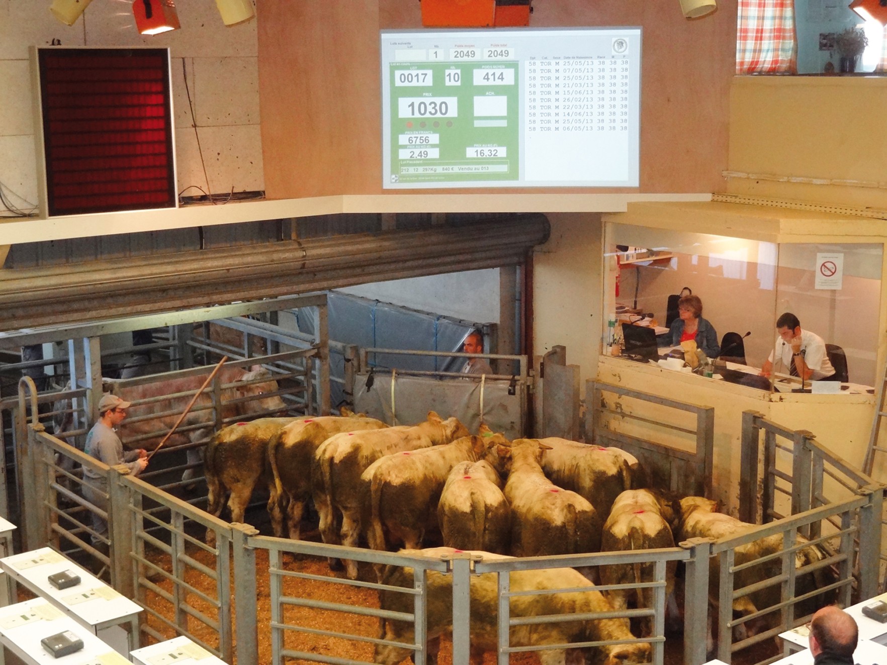 En 2016, 50.000 bovins ont été commercialisés sur le marché de Moulins-Engilbert.   