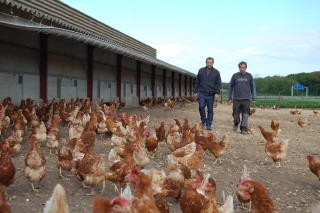En matière de diversification et de circuits courts, le CERD fait référence...