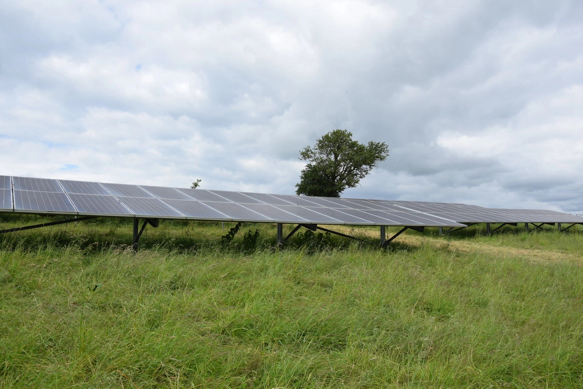 Agrivoltaïsme : des garde-fous pour qu’il profite à tous…