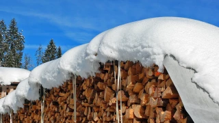 Le bois énergie, un incontournable régional