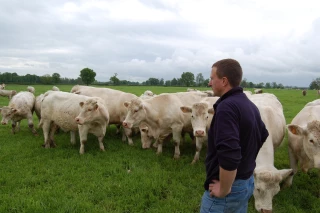 La baisse des installations en élevage se paie au prix fort pour l'économie de territoires ruraux entiers