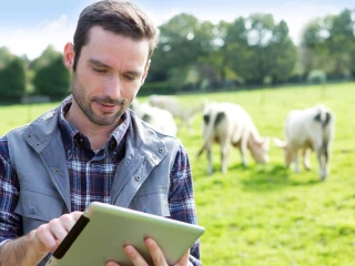 Trouver facilement son stage (ou son stagiaire !), c'est possible sur www.stage-agricole.com !