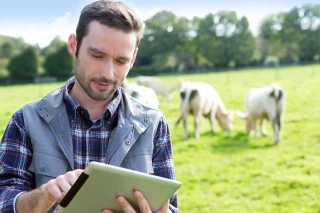 Trouver facilement son stage (ou son stagiaire !), c'est possible sur www.stage-agricole.com !