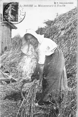 Les agricultrices misent à l'honneur