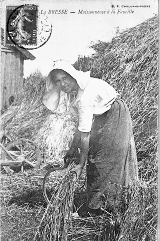 Les agricultrices misent à l'honneur