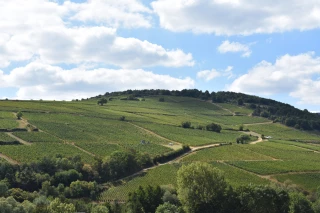 Comment appliquer les obligations de RSE "de la vigne au verre" ?