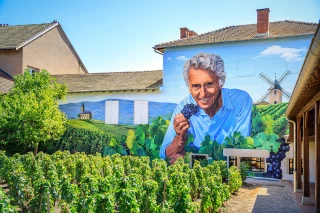 Inauguration d’une fresque hommage à Georges Dubœuf