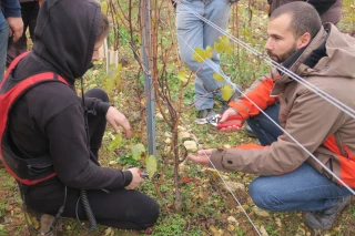 Une étape toujours primordiale