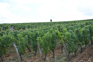 Une nouvelle année atypique