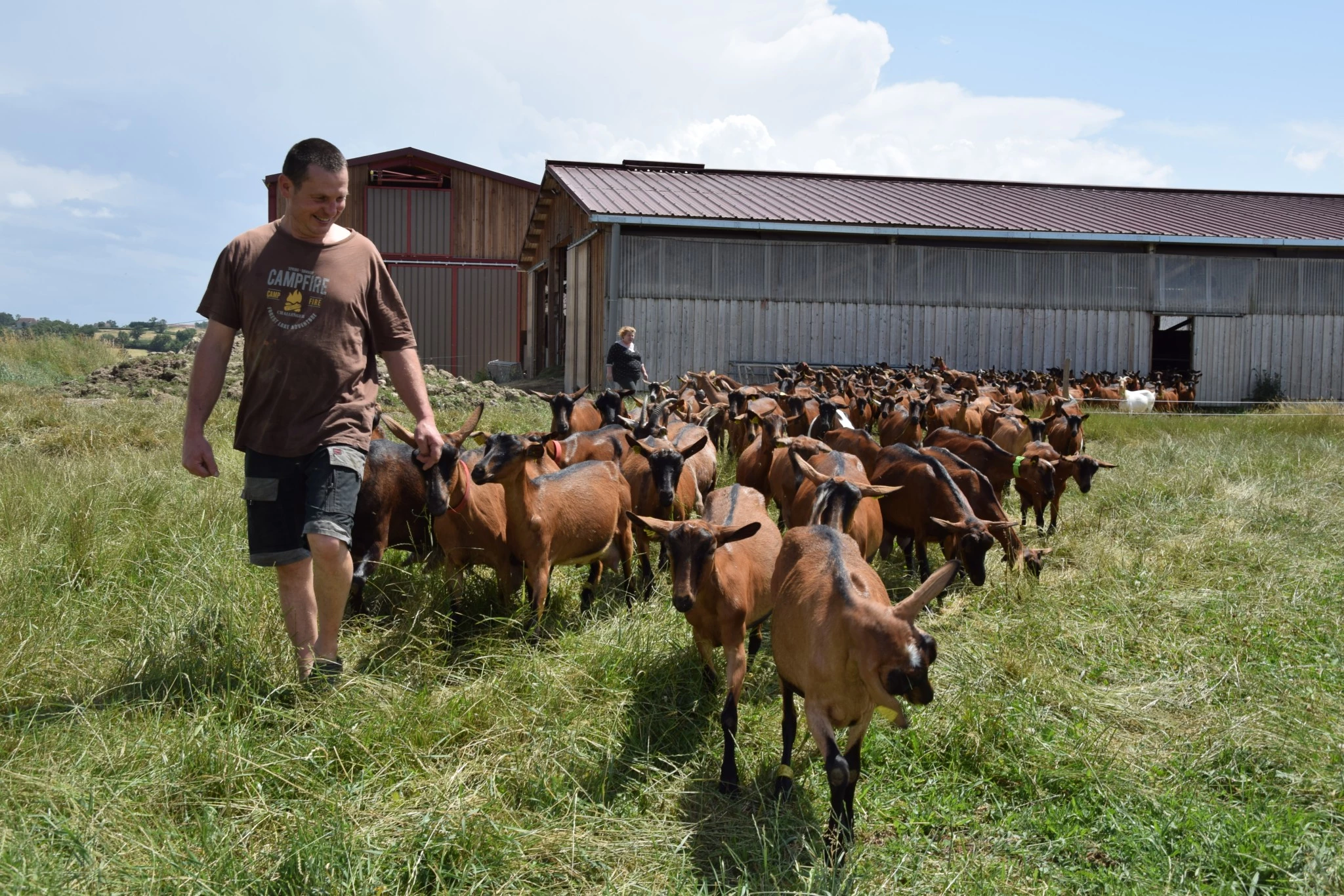 « Pour que le chevreau ne soit plus une charge pour les exploitations »