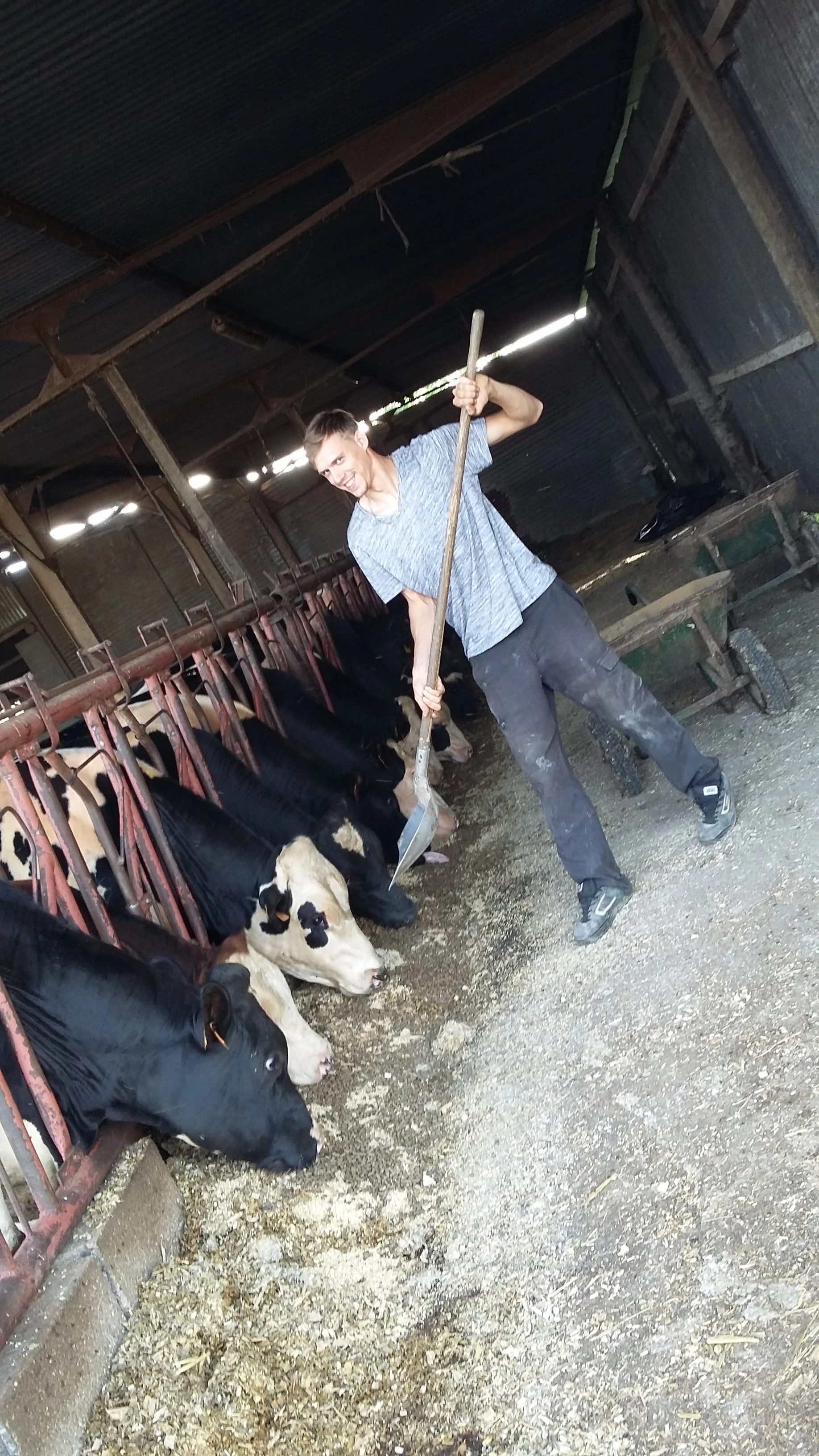 Rencontre avec le président du comité d'organisation de la Fête de l'Agriculture 2017, Maxime Carré