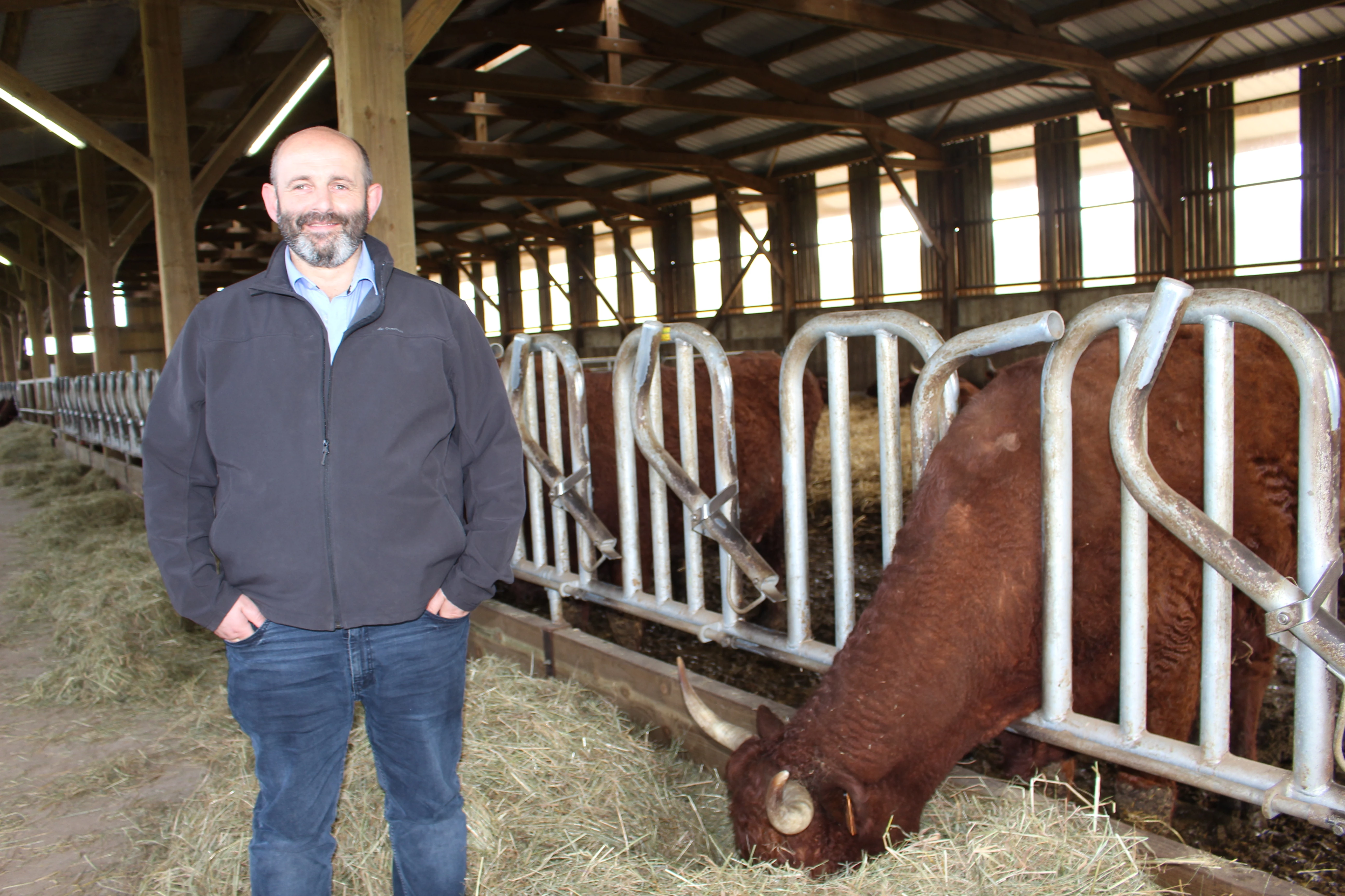 Pour la FNB, il y a urgence à faire de la viande bovine une grande cause nationale
