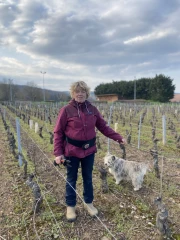 Des plantations pensées sur le très long terme