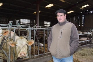 Utilisateur de taureaux « filière » dans son élevage