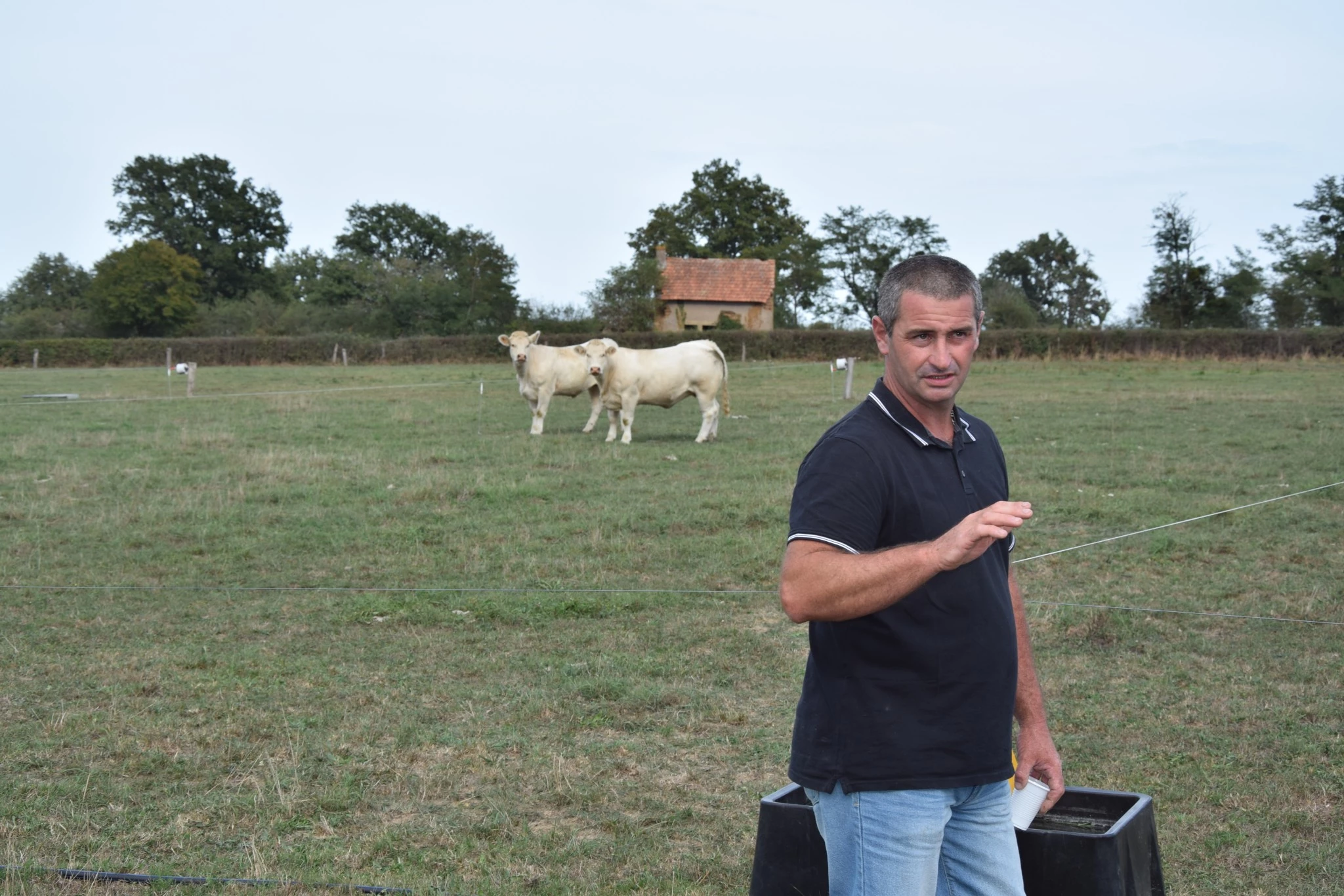 Thierry Préaud à Digoin : le Gène Mh Beef allie qualité de viande et facilité de vêlage