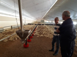 En Saône-et-Loire, des opportunités existent encore en production avicole