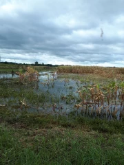 La FDSEA et les JA poursuivent leurs actions….