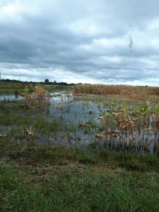 La FDSEA et les JA poursuivent leurs actions….