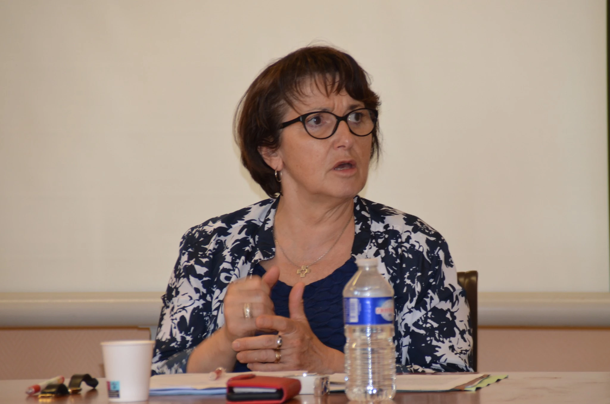 Christiane Lambert, présidente de la FNSEA