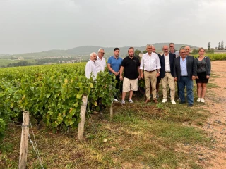Le Département prêt pour les vendanges