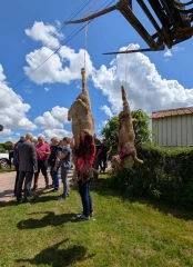 Quand un loup en remplace un autre : une histoire sans fin si l’État ne change pas de braquet !