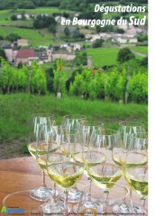 Les Vignerons Indépendants promeuvent la HVE pour toutes filières