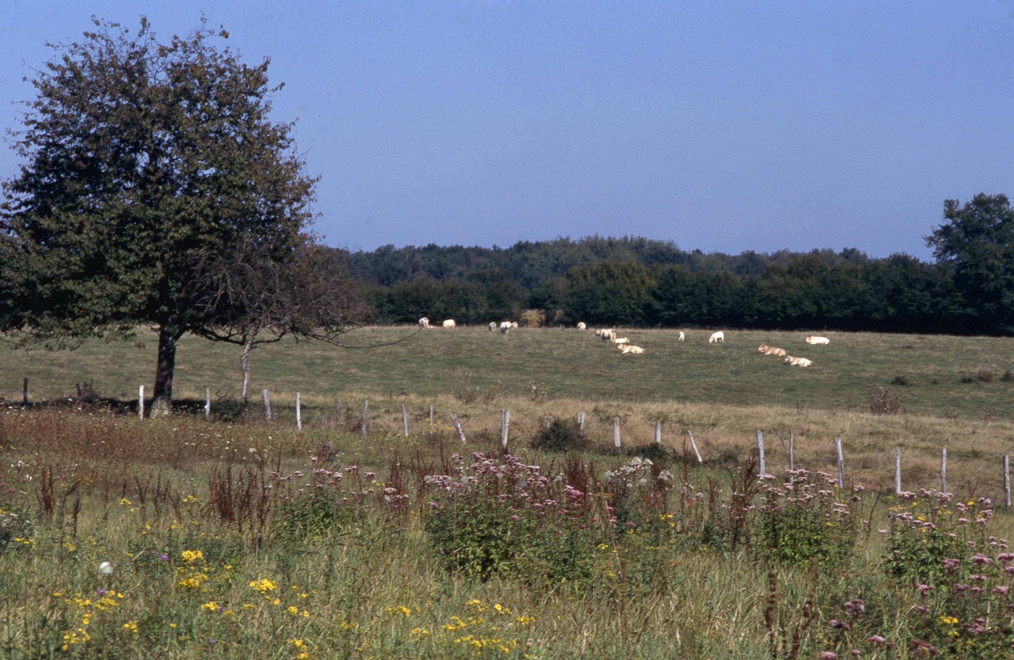  Consultation publique pour renforcer le rôle des agriculteurs pour la prochaine Pac