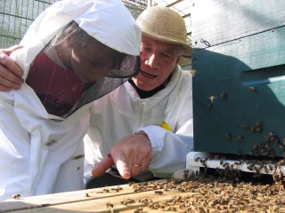 EXCLU WEB : Christiane Lambert très vigilante sur l’arrêté “Abeilles”