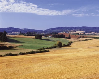 Double peine pour les territoires, l’élevage et les zones intermédiaires de Saône-et-Loire