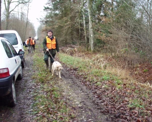 Les chasseurs déconfinés pour certaines missions d’intérêt général : sangliers et loup en tête
