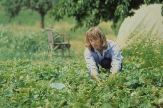 Le Sénat liste 40 recommandations pour améliorer la condition des agricultrices