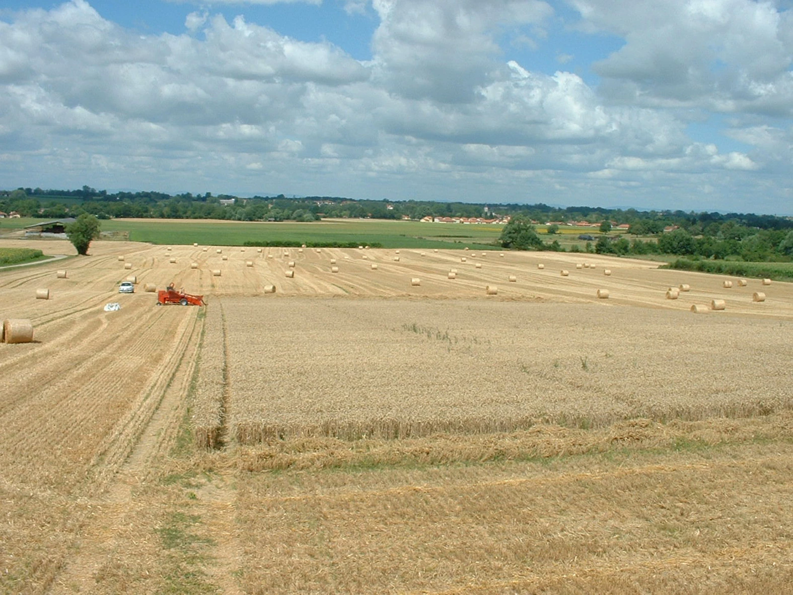 Pas d’inquiétude majeure sur la qualité des blés et des orges lors des moissons 2017
